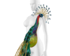 Brasil Peacock