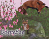 Friendly Foxes