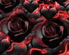 Black Rose bundle
