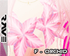 [AKZ]:Pink Orchid