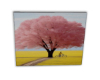 CANVAS P11