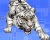 Tiger animated