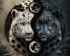 6v3| Leopards Yin Yang