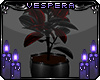 -V- Dark Autumn Plant