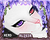 ⟡ Aou Head 2T