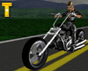 (TM) Harley sexy jacket