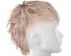 Mullet