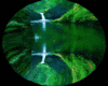 Water Fall Dome