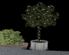 Tree, Planter & Lights