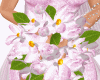Wedding Orchid Pink