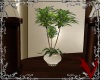 *V* Elegant Potted Plant