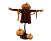 scarecrow pumpkin hallow