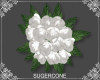 [SC] IceBride ~ Flower