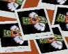 Cash in Flight Rug