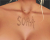 Sora'sScar