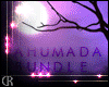 [RC]AHUMADA BUNDLE