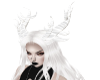 White Demon Antlers