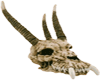 Dragon Skull