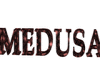 MEDUSA POSE NAME