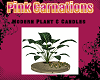 Modern Plant & Candles