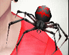 Spider Animated + Sound