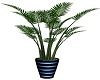 palm potted animated