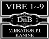 Vibration P1~Kanine