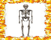 (SS)skeleton