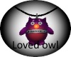(OD) Loved owl