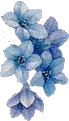 Horizontal blue flowers