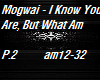 Mogwai-I Know You Are P2