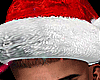 ╰☆ Santa hat