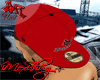 [AR]ZooYork Fitted Red