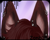 z | Wolfie Ears - Wine