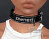 Owned P. Property Collar