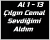 ✈  Sevdiğimi Aldım