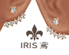 earrings2|IRIS