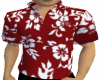 Hawaiian Shirt Bundle
