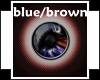 (IZ) Art Deco Blue/Brown