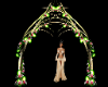 Elvin Spirit Arch[light]