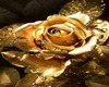 BLACK*GOLD ROSE BALLROOM