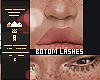 $ Bottom Lashes Only