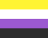 [B] Non Binary Flag