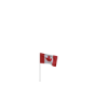 Canadian flag