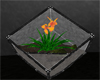 RH Tiger Lily terrarium