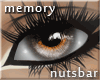 n: memory brown /F