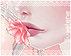 Rose Kiss |Pink
