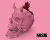 Skull Succulent Pink