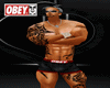 obey muscled boxer  deri