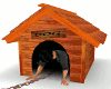 THE DOG HOUSE! W/POSES